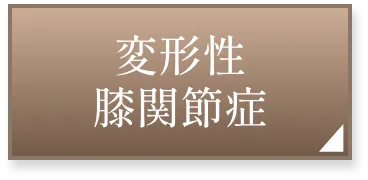 変形性膝関節症ページへ